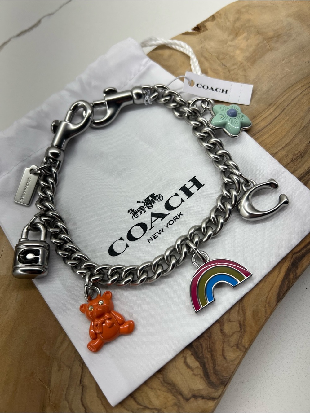 NWT - Coach Silver Swagger Chain
With Charms